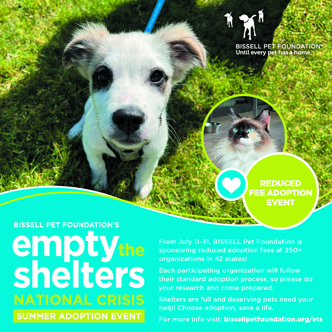 Empty the Shelters reduced adoption fees through July 30 at BrightSide Animal Center
