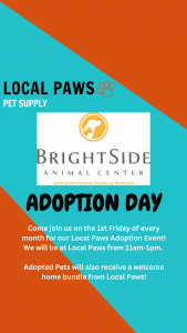 brightside dogs at local paws on the first Friday of every month